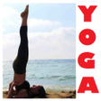 程序图标：Yoga eBook