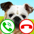 程序图标：fake call dog game