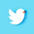 ไอคอนของโปรแกรม: Orthotwitter