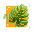 プログラムのアイコン：LeafID: AI Plant Identifi…