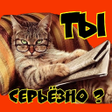 ไอคอนของโปรแกรม: Funny Russian WAStickers …
