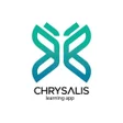 Programikonen: Chrysalis Learning App