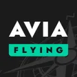 程序图标：avia flying game