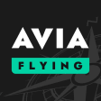 avia flying game