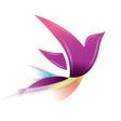Ikon program: Recovery Record for Clini…