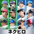 Ikon program: プロ野球ネクストヒーローズ