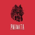 Иконка программы: Pneumata