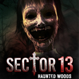 프로그램 아이콘: Sector 13: Haunted Woods