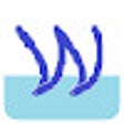 Ikon program: Wader