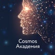 程序图标：Cosmos Академия