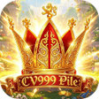 Programikonen: CV999Pile