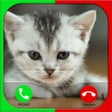 أيقونة البرنامج: Cat Fake Call Prank For K…