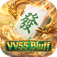 Icona del programma: VV55Bluff