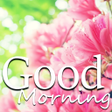 プログラムのアイコン：Good morning afternoon ev…