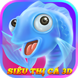 Biểu tượng của chương trình: Siêu thị cá 3D