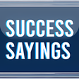 程序图标：Secrets of success - offl…