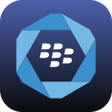 プログラムのアイコン：BlackBerry Hub Services