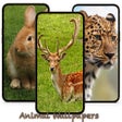 Ikon program: 10000 Animal Wallpapers