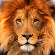 أيقونة البرنامج: Wild Animals Live Wallpap…