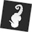 Icon of program: Dummy Form Filler