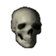 Programın simgesi: Skullify for Tumblr