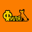 Icon of program: Зоотовары Филя сеть зоом…