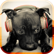 Icon of program: Dog Sounds