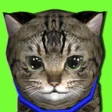 程序图标：Kitty lovely  Virtual Pet