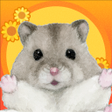 プログラムのアイコン：Hamster Valley