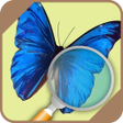 程序图标：Automatic Butterfly Ident…