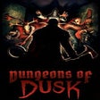 Icoon van programma: Dungeons of Dusk