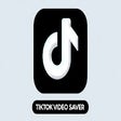 Иконка программы: TikTok Video Saver