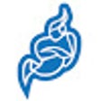 Ikona programu: SYP Jitsi Desktop Streame…