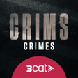 程序图标：Crimes: open cases