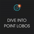 Xplore: Dive into Point Lobos
