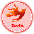 Ícone do programa: Exotic Tunnel Plus
