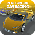 程序图标：The Real Circuit Car Raci…