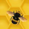 Biểu tượng của chương trình: Honeycomb Heist