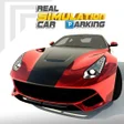 程序图标:Real Simulation Car parki…