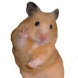 أيقونة البرنامج: Stickers Memes - WASticke…