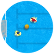 プログラムのアイコン：Table water polo - FINA C…
