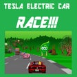 Icon of program: Tesla Electric Vehicle Ca…