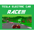 Tesla Electric Vehicle Cars Race