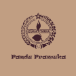 Pandu Pramuka