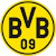 Icon of program: BVB-Home