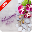 程序图标：Relaxing Music 2021