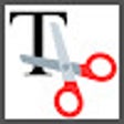 程序图标：Snip To Text