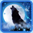 Иконка программы: Wolf Moon Song