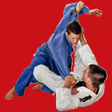 Icon of program: Jiu-Jitsu Waza