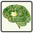 程序图标：Artificial Intelligence-1